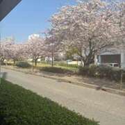 ヒメ日記 2025/04/07 14:10 投稿 ひびく 熟女家 ミナミエリア店