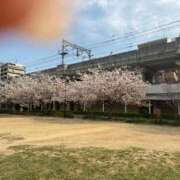 ヒメ日記 2025/04/08 20:15 投稿 ひびく 熟女家 ミナミエリア店