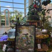 ヒメ日記 2025/06/18 18:35 投稿 ひびく 熟女家 ミナミエリア店