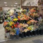 ヒメ日記 2025/08/24 11:05 投稿 ひびく 熟女家 ミナミエリア店