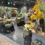 ヒメ日記 2025/08/31 19:15 投稿 ひびく 熟女家 ミナミエリア店