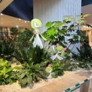 ヒメ日記 2025/09/07 08:51 投稿 ひびく 熟女家 ミナミエリア店