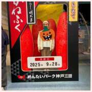 ヒメ日記 2025/10/01 09:05 投稿 ひびく 熟女家 ミナミエリア店