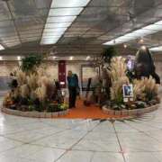 ヒメ日記 2025/11/01 09:35 投稿 ひびく 熟女家 ミナミエリア店