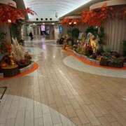 ヒメ日記 2025/11/01 13:15 投稿 ひびく 熟女家 ミナミエリア店