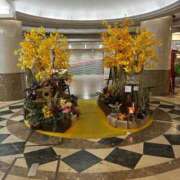 ヒメ日記 2025/11/01 16:15 投稿 ひびく 熟女家 ミナミエリア店