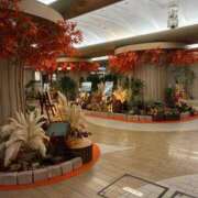 ヒメ日記 2025/11/04 11:09 投稿 ひびく 熟女家 ミナミエリア店