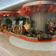 ヒメ日記 2025/11/04 12:15 投稿 ひびく 熟女家 ミナミエリア店