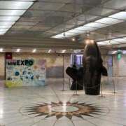 ヒメ日記 2025/11/07 11:15 投稿 ひびく 熟女家 ミナミエリア店