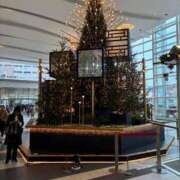 ヒメ日記 2025/11/14 16:05 投稿 ひびく 熟女家 ミナミエリア店