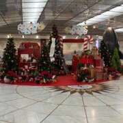 ヒメ日記 2025/11/23 12:36 投稿 ひびく 熟女家 ミナミエリア店