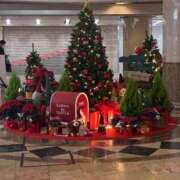 ヒメ日記 2025/11/24 14:05 投稿 ひびく 熟女家 ミナミエリア店