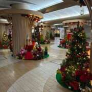 ヒメ日記 2025/11/25 11:08 投稿 ひびく 熟女家 ミナミエリア店