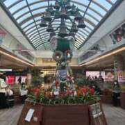 ヒメ日記 2025/11/27 09:30 投稿 ひびく 熟女家 ミナミエリア店