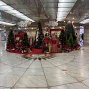 ヒメ日記 2025/12/06 15:25 投稿 ひびく 熟女家 ミナミエリア店