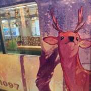 ヒメ日記 2025/12/08 08:35 投稿 ひびく 熟女家 ミナミエリア店