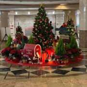 ヒメ日記 2025/12/08 13:37 投稿 ひびく 熟女家 ミナミエリア店