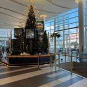 ヒメ日記 2025/12/12 08:55 投稿 ひびく 熟女家 ミナミエリア店