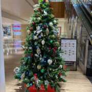 ヒメ日記 2025/12/12 10:56 投稿 ひびく 熟女家 ミナミエリア店