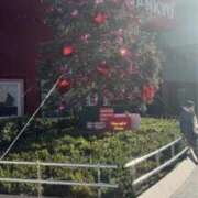 ヒメ日記 2025/12/19 07:35 投稿 ひびく 熟女家 ミナミエリア店