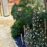 ヒメ日記 2025/12/19 10:17 投稿 ひびく 熟女家 ミナミエリア店