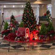 ヒメ日記 2025/12/21 15:45 投稿 ひびく 熟女家 ミナミエリア店