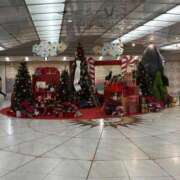 ヒメ日記 2025/12/23 10:16 投稿 ひびく 熟女家 ミナミエリア店