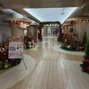 ヒメ日記 2025/12/25 11:45 投稿 ひびく 熟女家 ミナミエリア店