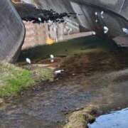 ヒメ日記 2026/01/03 10:23 投稿 ひびく 熟女家 ミナミエリア店