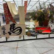 ヒメ日記 2026/01/03 11:00 投稿 ひびく 熟女家 ミナミエリア店