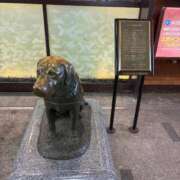 ヒメ日記 2026/01/10 16:35 投稿 ひびく 熟女家 ミナミエリア店