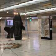 ヒメ日記 2026/01/31 10:10 投稿 ひびく 熟女家 ミナミエリア店