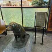 ヒメ日記 2026/02/08 22:55 投稿 ひびく 熟女家 ミナミエリア店