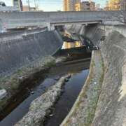 ヒメ日記 2026/02/09 11:05 投稿 ひびく 熟女家 ミナミエリア店