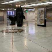 ヒメ日記 2026/02/15 14:27 投稿 ひびく 熟女家 ミナミエリア店