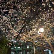 ヒメ日記 2026/04/02 10:45 投稿 ひびく 熟女家 ミナミエリア店