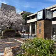 ヒメ日記 2026/04/05 10:35 投稿 ひびく 熟女家 ミナミエリア店