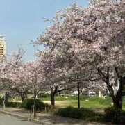 ヒメ日記 2026/04/06 15:15 投稿 ひびく 熟女家 ミナミエリア店