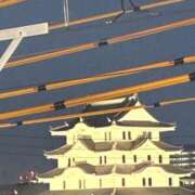 ヒメ日記 2026/04/07 14:38 投稿 ひびく 熟女家 ミナミエリア店