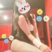 ヒメ日記 2025/05/11 14:02 投稿 サリナ ドMなバニーちゃん大宮店