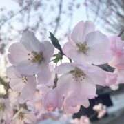 ヒメ日記 2025/06/11 00:08 投稿 サリナ ドMなバニーちゃん大宮店