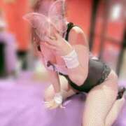 ヒメ日記 2026/04/11 11:59 投稿 サリナ ドMなバニーちゃん大宮店