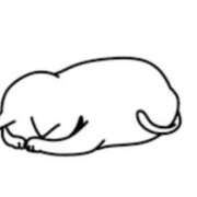 サリナ 今日と明日お休みに変更 ドMなバニーちゃん大宮店