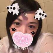 ヒメ日記 2024/12/31 08:45 投稿 こはく プレイボーイ　アゲハ