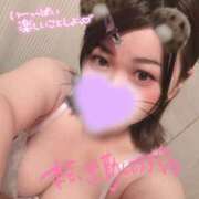 ヒメ日記 2025/02/19 08:45 投稿 こはく プレイボーイ　アゲハ