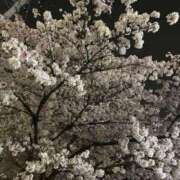 ヒメ日記 2026/04/01 12:18 投稿 いと ハンドキャンパス池袋