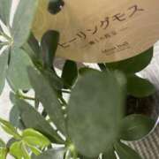 尾崎 ナナ 出勤します^_^ 熟女・人妻マダム宮殿