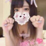 ヒメ日記 2025/08/16 00:09 投稿 とうか if(イフ) 中村店