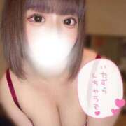 ヒメ日記 2025/12/31 20:14 投稿 とうか if(イフ) 中村店