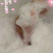 ヒメ日記 2025/01/12 21:29 投稿 ときの サンキュー福岡店